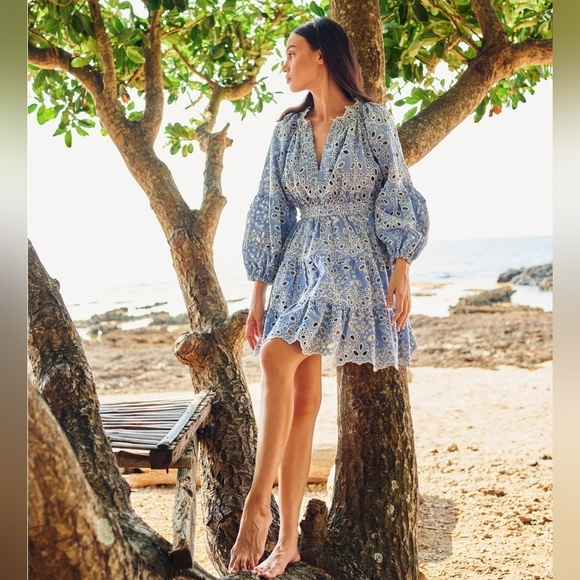 Charina Sarte Light Blue Chambray Eyelet Mini Dress - Picture 1 of 10